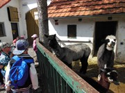 Výlet do ZOO Chleby a Labyrintária Loučeň